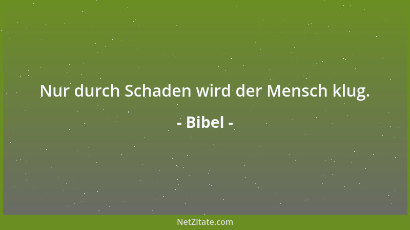 Bibel - Es ströme aber das Recht wie Wasser und die Gerechtigkeit wie ein nie versiegender Bach....
