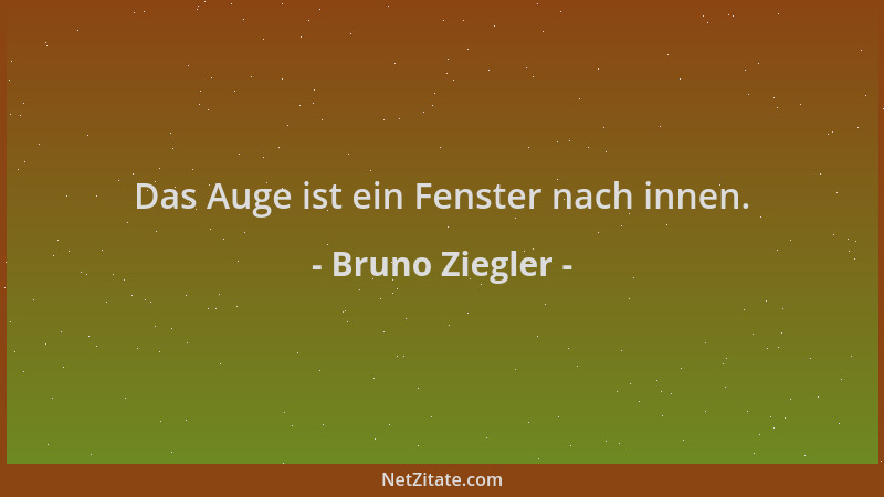 Bruno Ziegler - Das Auge ist ein Fenster nach innen....