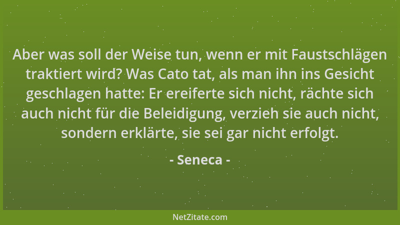 Seneca - Aber was soll der Weise tun, wenn er mit Faustschlägen traktiert wird? Was Cato tat, als man ihn ins Gesicht gesch...