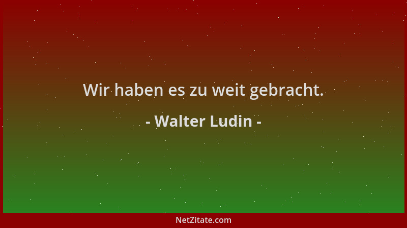Walter Ludin - Wir haben es zu weit gebracht....