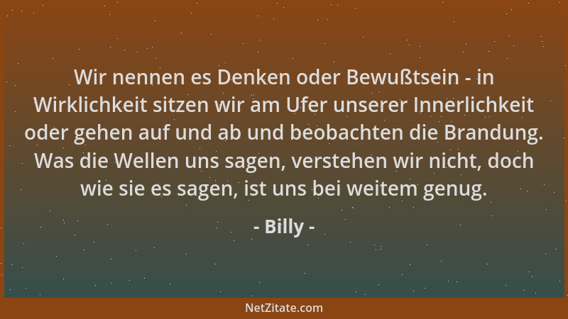 Billy - Wir nennen es Denken oder Bewußtsein - in Wirklichkeit sitzen wir am Ufer unserer Innerlichkeit oder gehen auf und...