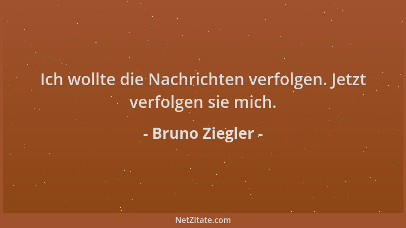 Bruno Ziegler - Ich wollte die Nachrichten verfolgen. Jetzt verfolgen sie mich....