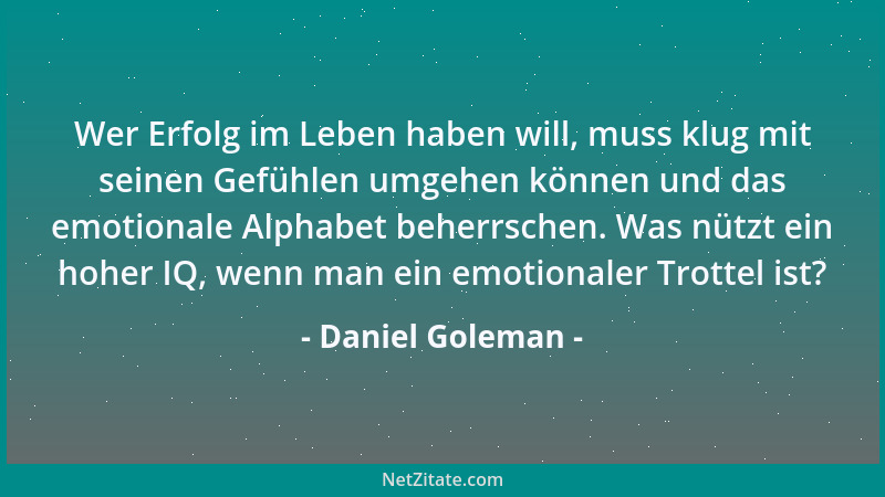 Daniel Goleman - Wer Erfolg im Leben haben will, muss klug mit seinen Gefühlen umgehen können und das emotionale Alphabet b...