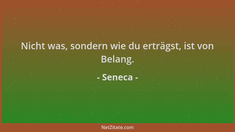 Seneca - Nicht was, sondern wie du erträgst, ist von Belang....