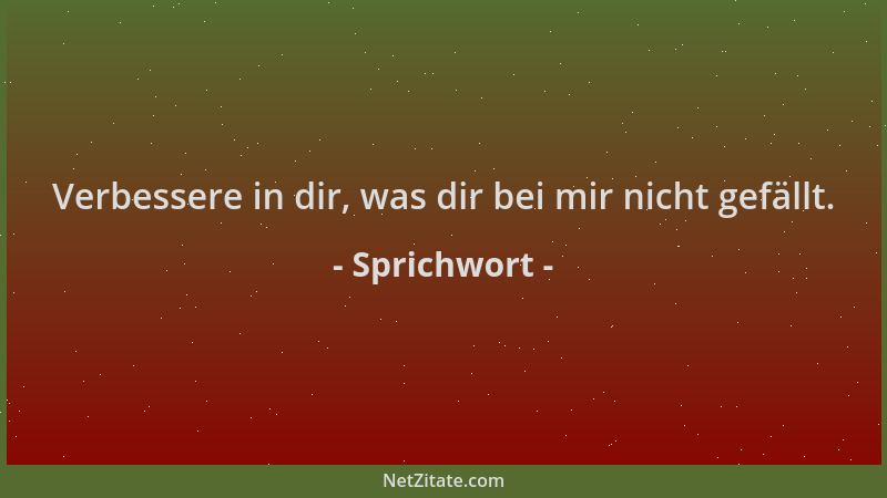 Sprichwort - Verbessere in dir, was dir bei mir nicht gefällt....