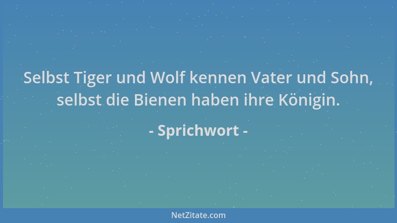Sprichwort - Selbst Tiger und Wolf kennen Vater und Sohn, selbst die Bienen haben ihre Königin....