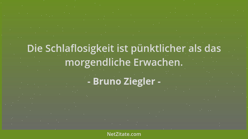 Bruno Ziegler - Die Schlaflosigkeit ist pünktlicher als das morgendliche Erwachen....