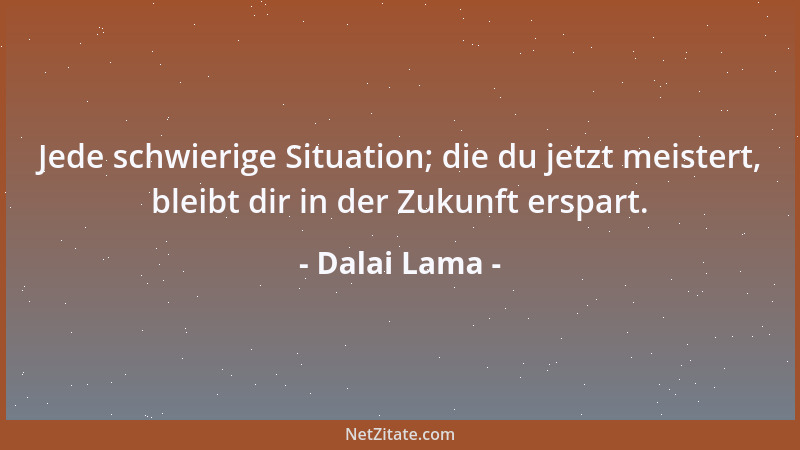 Dalai Lama - Jede schwierige Situation; die du jetzt meistert, bleibt dir in der Zukunft erspart....