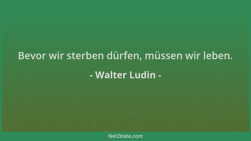 Walter Ludin - Bevor wir sterben dürfen, müssen wir leben....