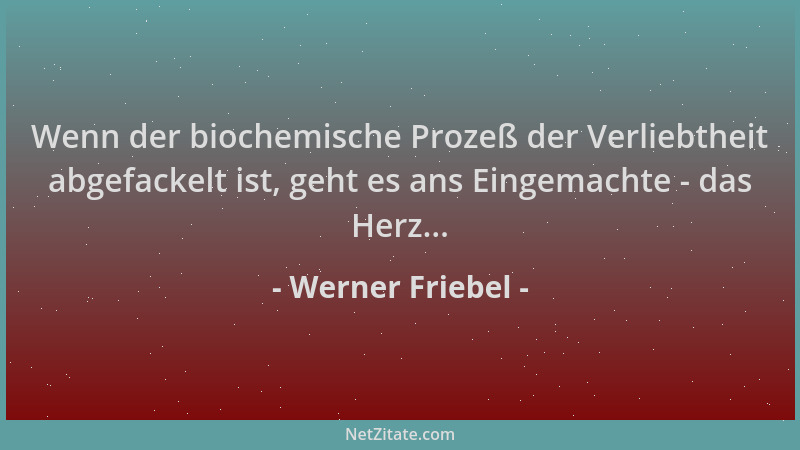 Werner Friebel - Wenn der biochemische Prozeß der Verliebtheit abgefackelt ist, geht es ans Eingemachte - das Herz......