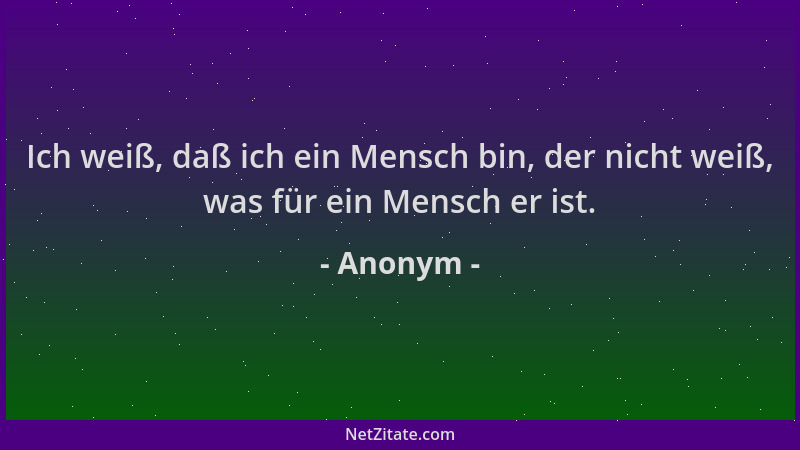 Anonym - Ich weiß, daß ich ein Mensch bin, der nicht weiß, was für ein Mensch er ist....