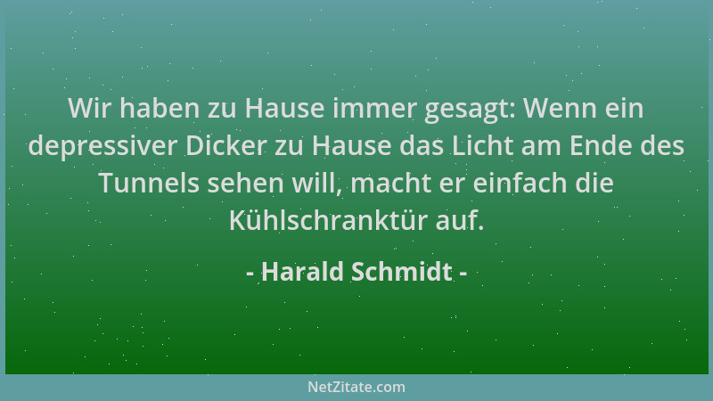 Harald Schmidt - Wir haben zu Hause immer gesagt: Wenn ein depressiver Dicker zu Hause das Licht am Ende des Tunnels sehen...