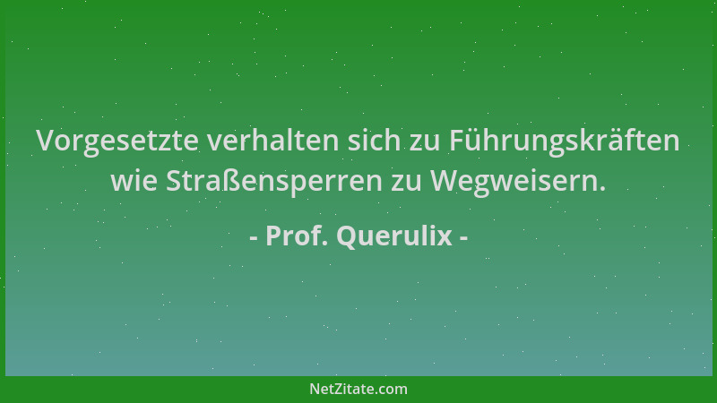 Prof. Querulix - Vorgesetzte verhalten sich zu Führungskräften wie Straßensperren zu Wegweisern....
