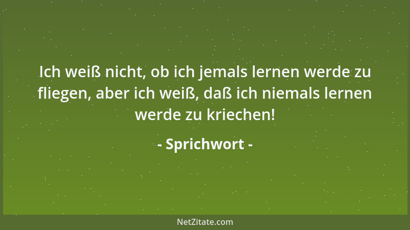 Sprichwort - Wo Elefanten sich bekämpfen, hat das Gras den Schaden....