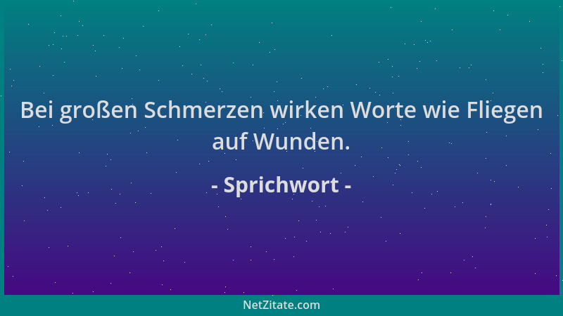 Sprichwort - Bei großen Schmerzen wirken Worte wie Fliegen auf Wunden....
