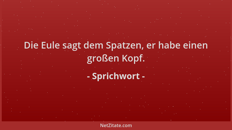 Sprichwort - Die Eule sagt dem Spatzen, er habe einen großen Kopf....