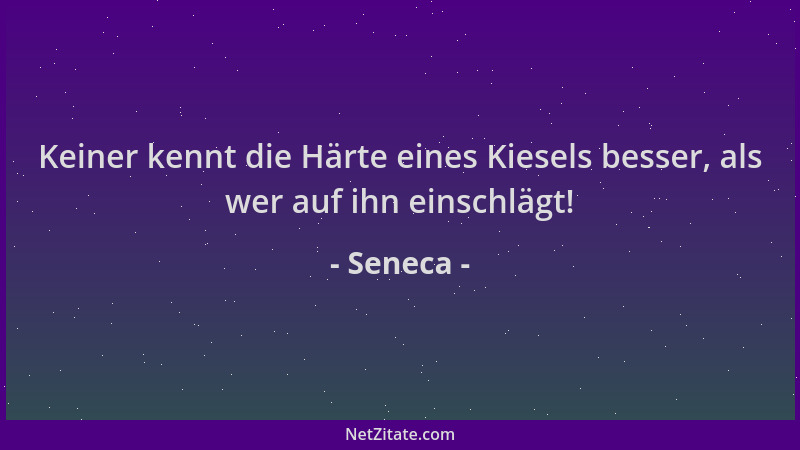 Seneca - Keiner kennt die Härte eines Kiesels besser, als wer auf ihn einschlägt!...