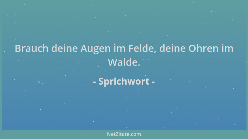 Sprichwort - Brauch deine Augen im Felde, deine Ohren im Walde....