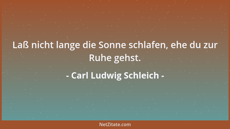 Carl Ludwig Schleich - Laß nicht lange die Sonne schlafen, ehe du zur Ruhe gehst....