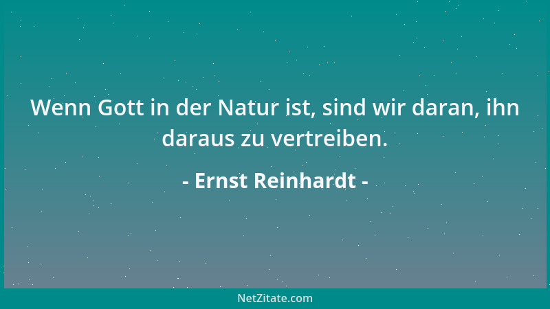 Ernst Reinhardt - Wenn Gott in der Natur ist, sind wir daran, ihn daraus zu vertreiben....