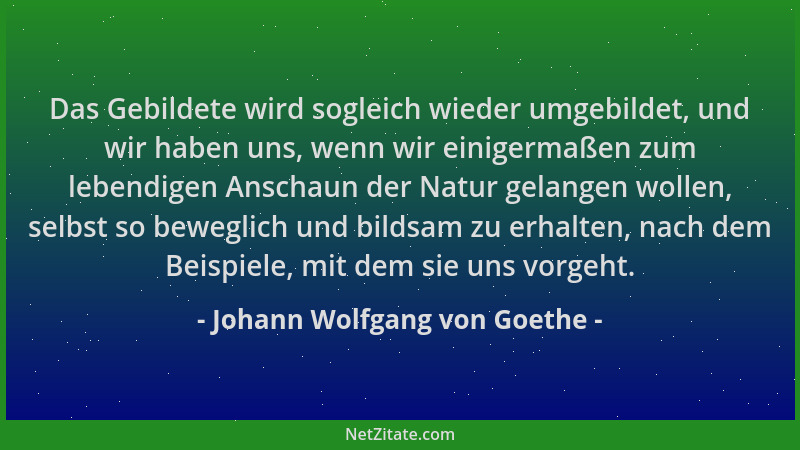 Johann Wolfgang von Goethe - Das Gebildete wird sogleich wieder umgebildet, und wir haben uns, wenn wir einigermaßen zum le...