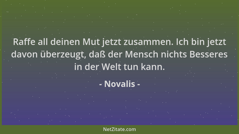 Novalis - Raffe all deinen Mut jetzt zusammen. Ich bin jetzt davon überzeugt, daß der Mensch nichts Besseres in der Welt tu...