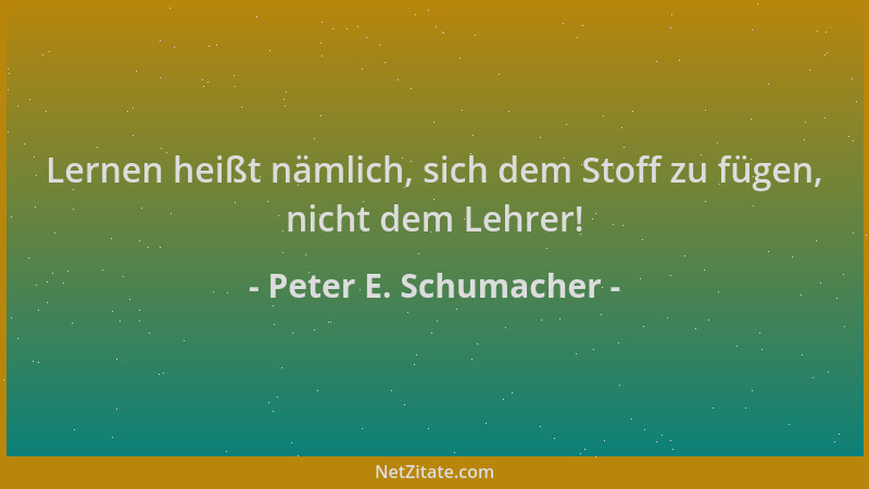 Peter E. Schumacher - Lernen heißt nämlich, sich dem Stoff zu fügen, nicht dem Lehrer!...