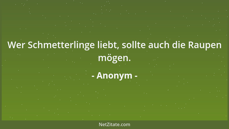 Anonym - Wer Schmetterlinge liebt, sollte auch die Raupen mögen....