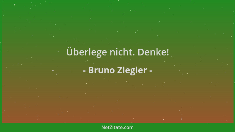 Bruno Ziegler - Überlege nicht. Denke!...