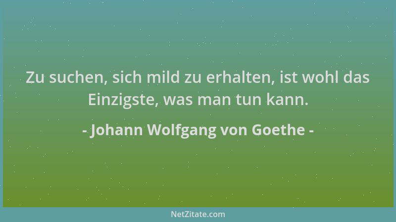 Johann Wolfgang von Goethe - Zu suchen, sich mild zu erhalten, ist wohl das Einzigste, was man tun kann....