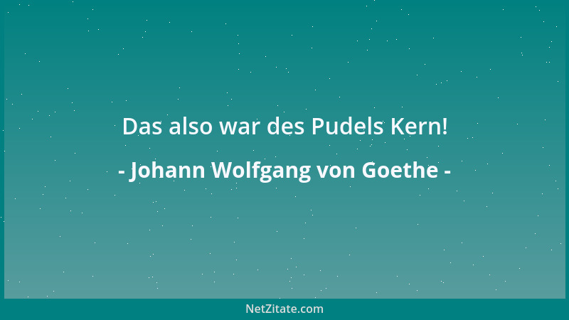 Johann Wolfgang von Goethe - Das also war des Pudels Kern!...