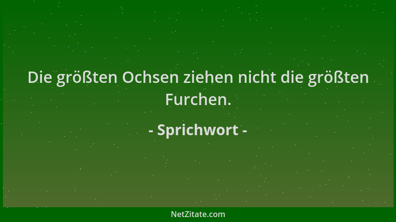 Sprichwort - Die größten Ochsen ziehen nicht die größten Furchen....