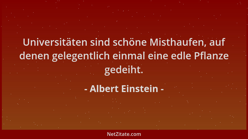 Albert Einstein - Universitäten sind schöne Misthaufen, auf denen gelegentlich einmal eine edle Pflanze gedeiht....