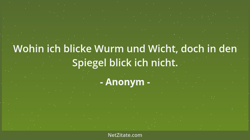 Anonym - Wohin ich blicke Wurm und Wicht, doch in den Spiegel blick ich nicht....