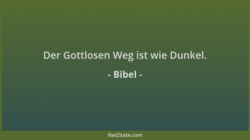 Bibel - Der Gottlosen Weg ist wie Dunkel....