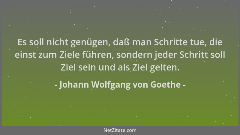 Johann Wolfgang von Goethe - Es soll nicht genügen, daß man Schritte tue, die einst zum Ziele führen, sondern jeder Schritt...