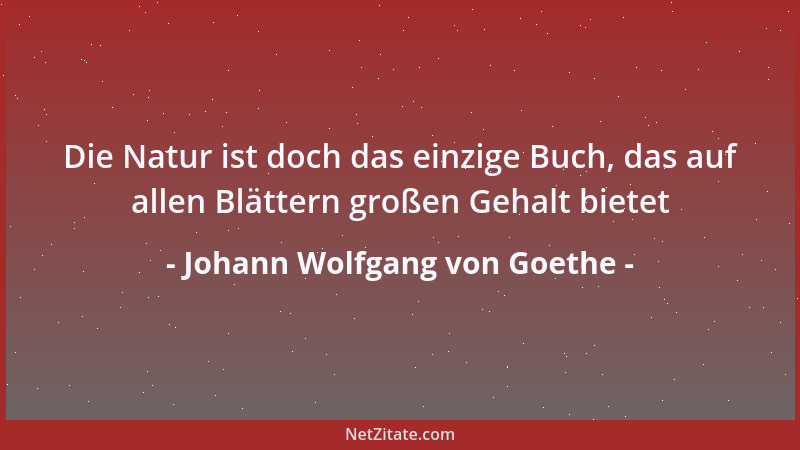 Johann Wolfgang von Goethe - Die Natur ist doch das einzige Buch, das auf allen Blättern großen Gehalt bietet...