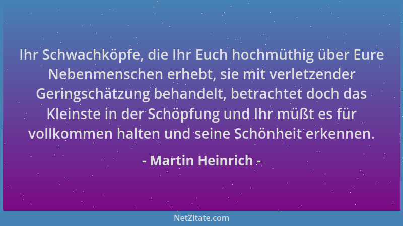 Martin Heinrich - Ihr Schwachköpfe, die Ihr Euch hochmüthig über Eure Nebenmenschen erhebt, sie mit verletzender Geringschä...