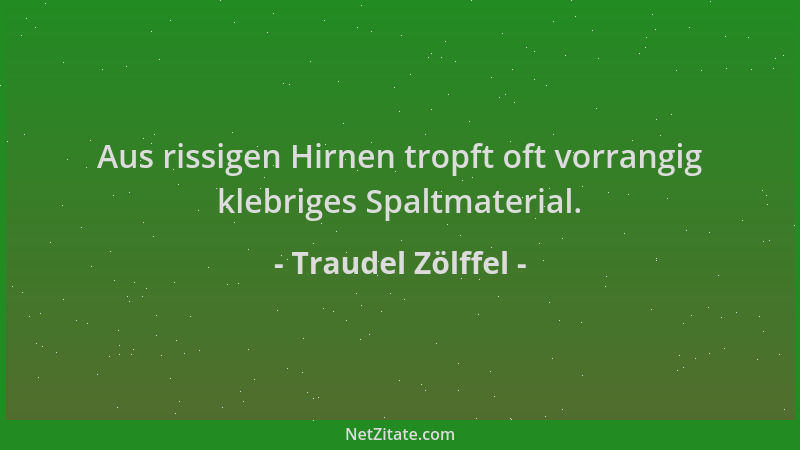 Traudel Zölffel - Aus rissigen Hirnen tropft oft vorrangig klebriges Spaltmaterial....
