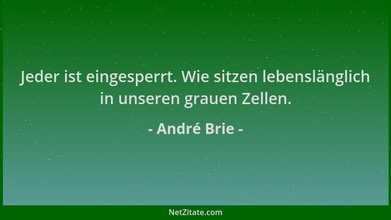 André Brie - Jeder ist eingesperrt. Wie sitzen lebenslänglich in unseren grauen Zellen....