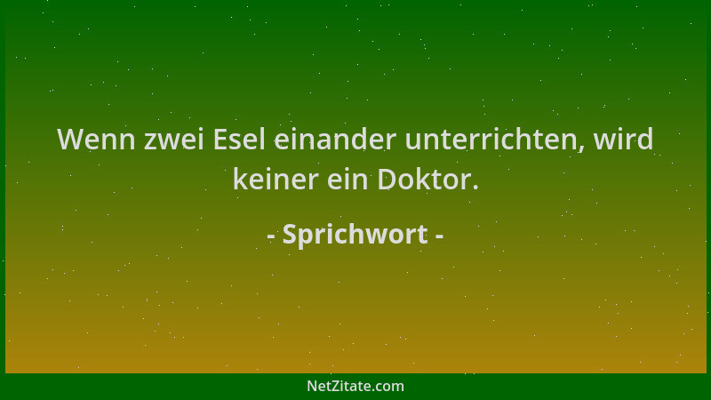 Sprichwort - Wenn zwei Esel einander unterrichten, wird keiner ein Doktor....