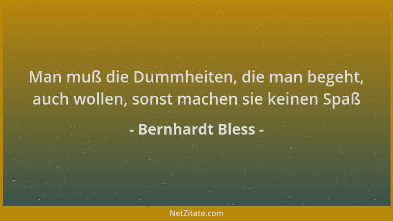 Bernhardt Bless - Man muß die Dummheiten, die man begeht, auch wollen, sonst machen sie keinen Spaß...