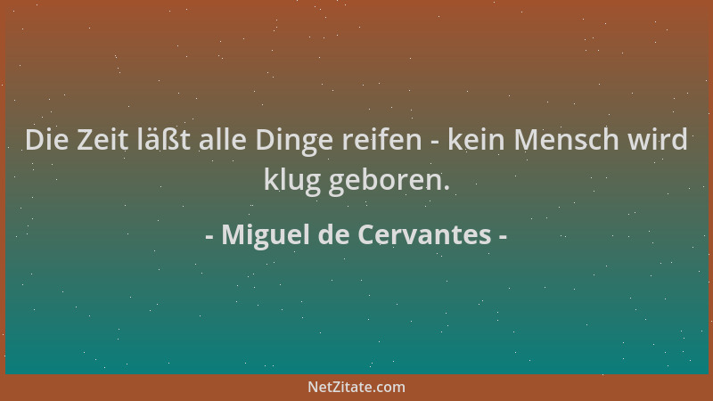 Miguel de Cervantes - Die Zeit läßt alle Dinge reifen - kein Mensch wird klug geboren....