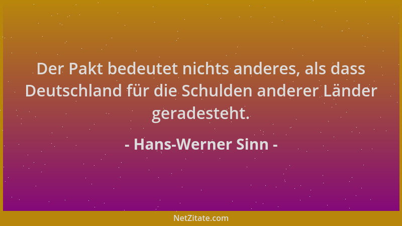 Hans-Werner Sinn - Der Pakt bedeutet nichts anderes, als dass Deutschland für die Schulden anderer Länder geradesteht....