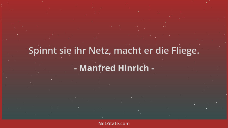 Manfred Hinrich - Spinnt sie ihr Netz, macht er die Fliege....