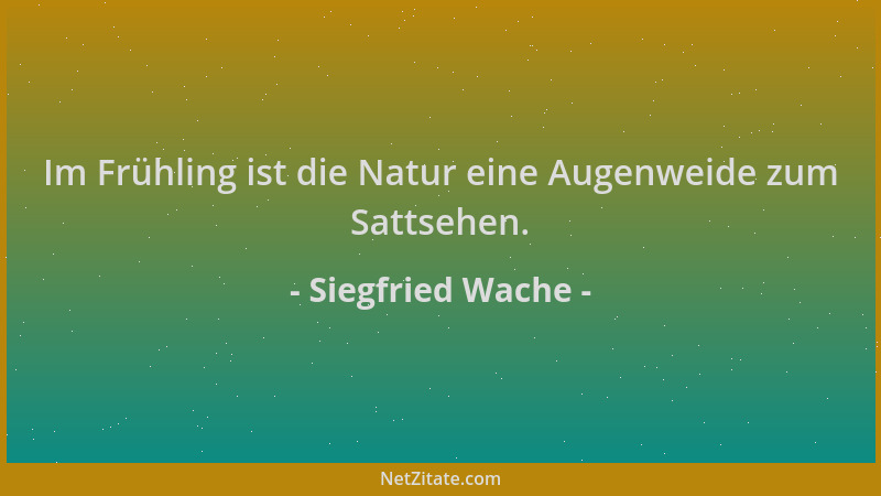 Siegfried Wache - Im Frühling ist die Natur eine Augenweide zum Sattsehen....