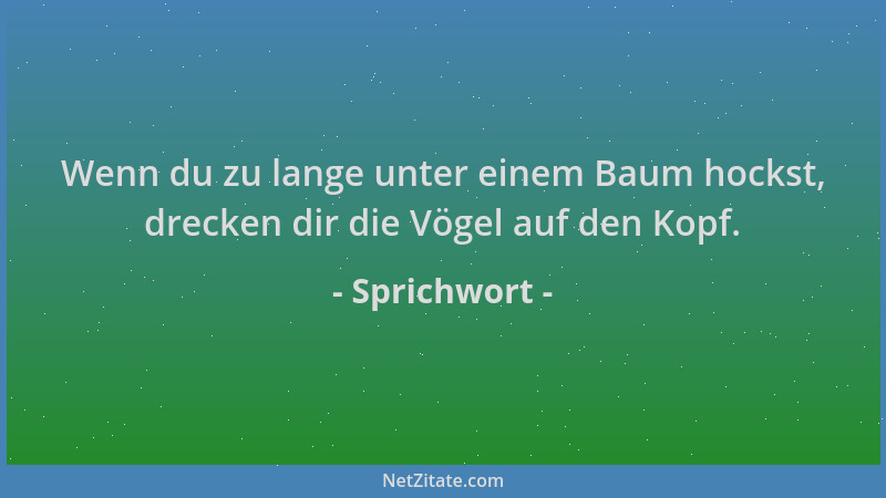 Sprichwort - Wenn du zu lange unter einem Baum hockst, drecken dir die Vögel auf den Kopf....
