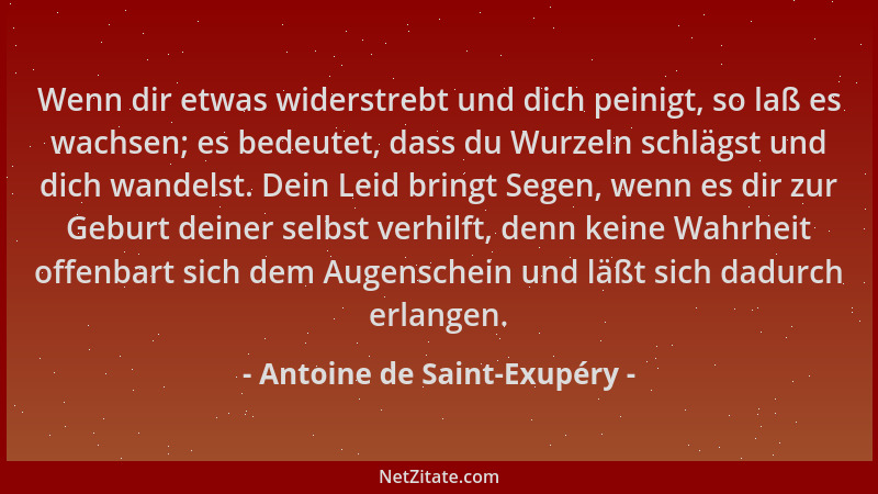 Antoine de Saint-Exupéry - Wenn dir etwas widerstrebt und dich peinigt, so laß es wachsen; es bedeutet, dass du Wurzeln sch...