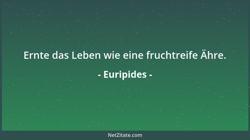 Euripides - Ernte das Leben wie eine fruchtreife Ähre....