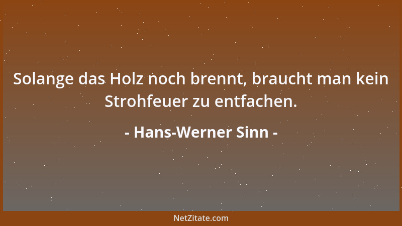 Hans-Werner Sinn - Solange das Holz noch brennt, braucht man kein Strohfeuer zu entfachen....